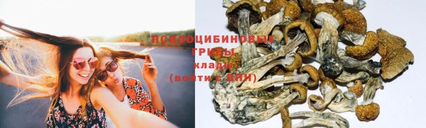 дживик Карталы