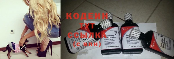 хмурый Корсаков