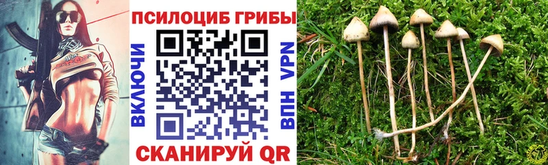Галлюциногенные грибы Psilocybine cubensis  Чусовой 